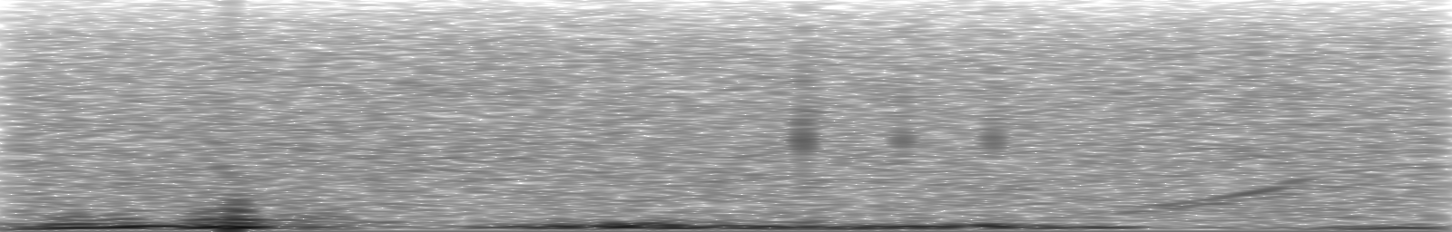 [Loading Spectrogram]