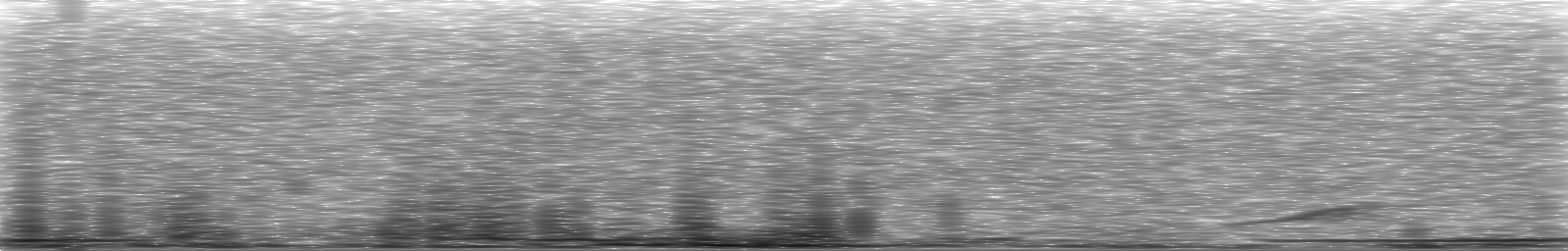 [Loading Spectrogram]