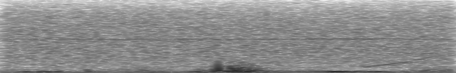 [Loading Spectrogram]