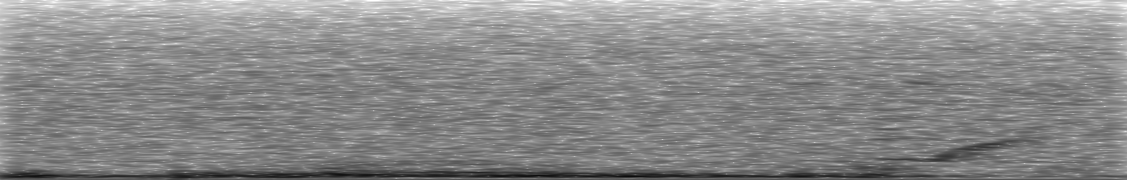 [Loading Spectrogram]