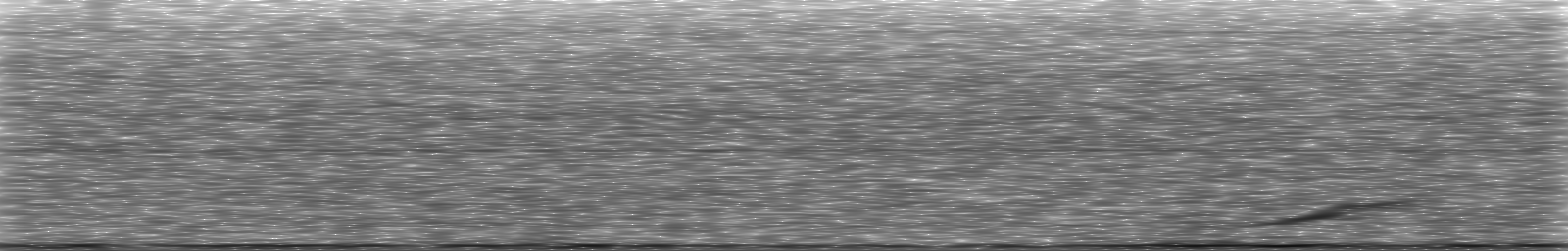 [Loading Spectrogram]