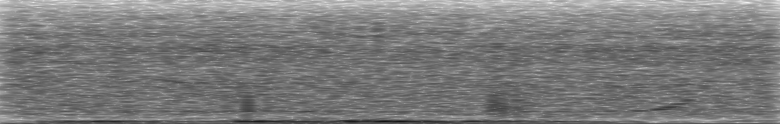 [Loading Spectrogram]