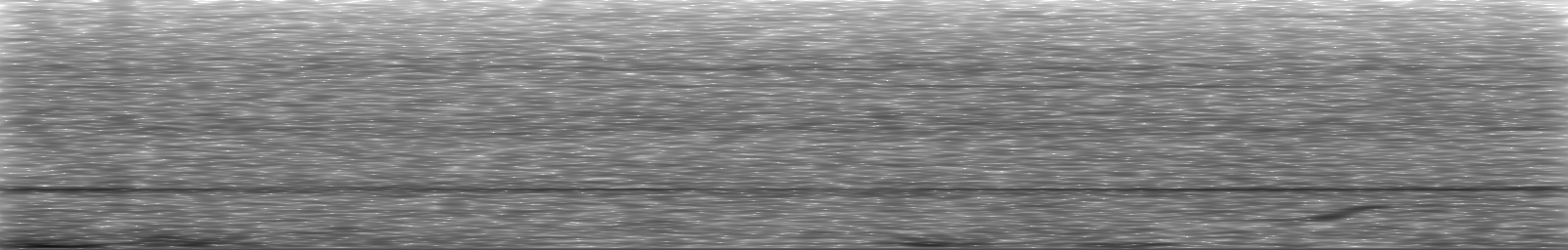 [Loading Spectrogram]