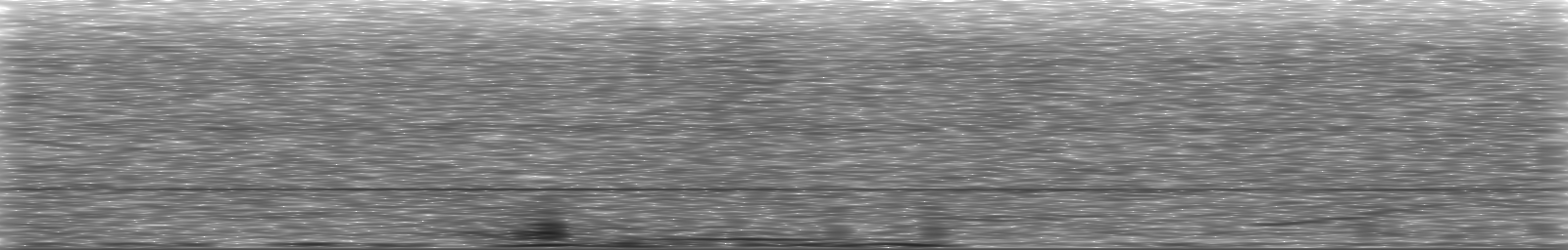 [Loading Spectrogram]