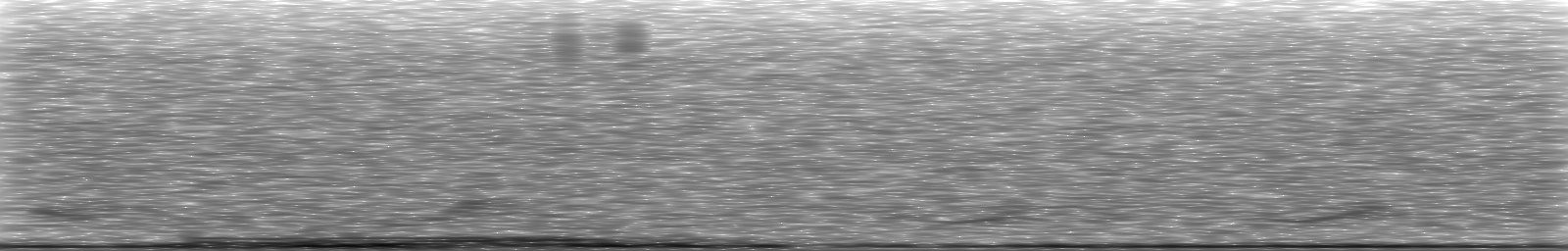 [Loading Spectrogram]