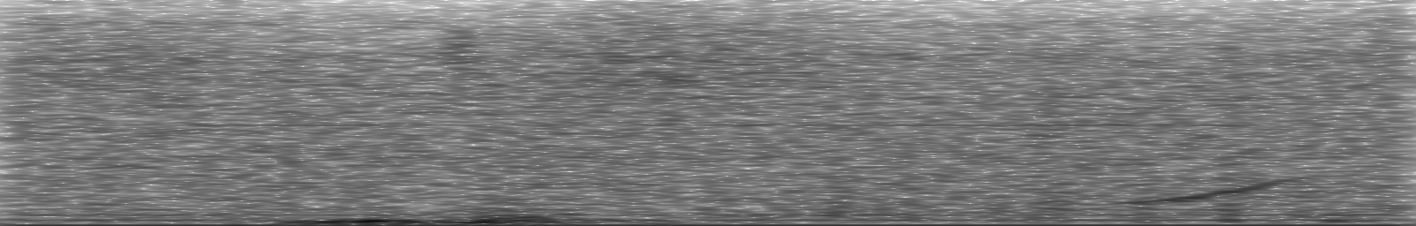 [Loading Spectrogram]