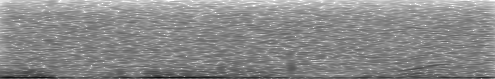 [Loading Spectrogram]