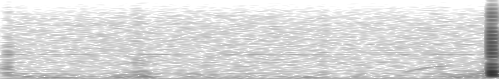 [Loading Spectrogram]