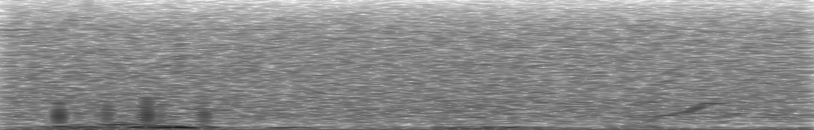 [Loading Spectrogram]