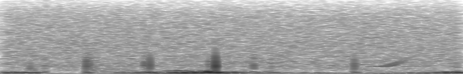 [Loading Spectrogram]