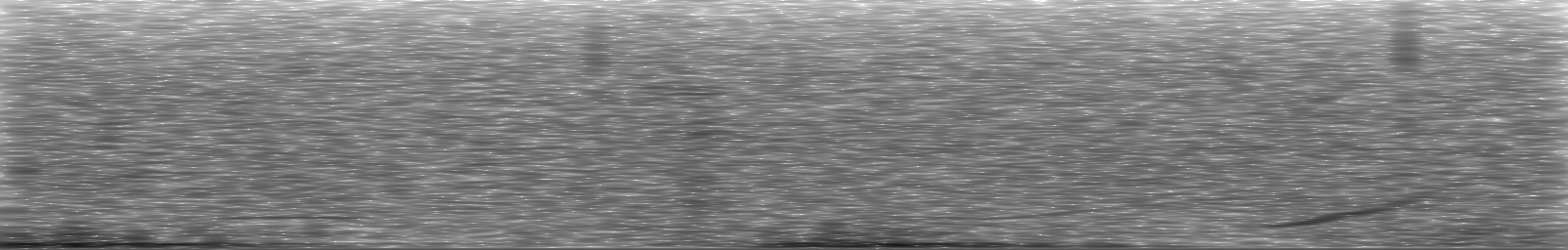 [Loading Spectrogram]