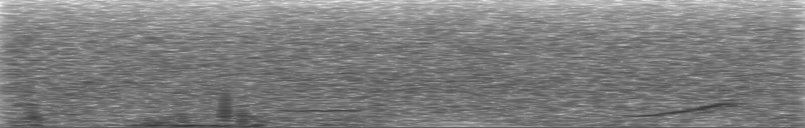 [Loading Spectrogram]