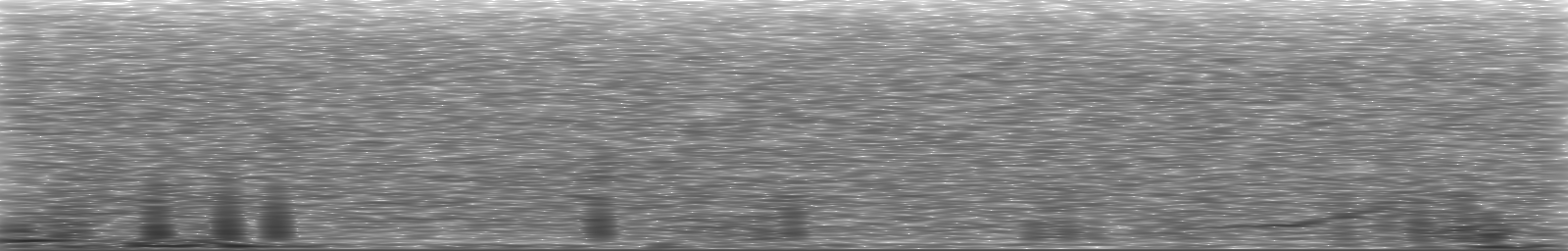 [Loading Spectrogram]