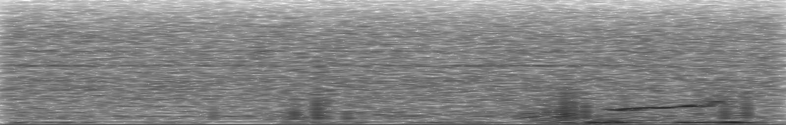 [Loading Spectrogram]