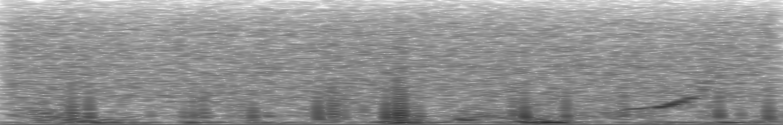 [Loading Spectrogram]