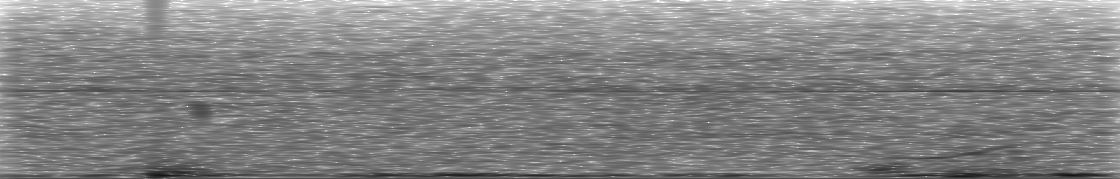 [Loading Spectrogram]