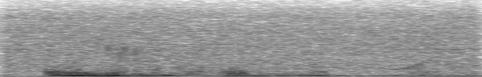 [Loading Spectrogram]