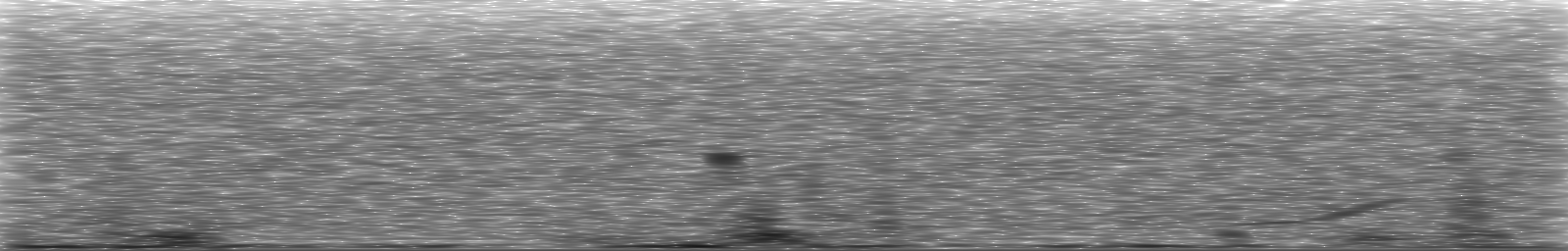 [Loading Spectrogram]