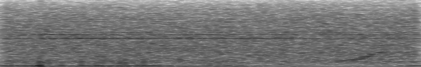 [Loading Spectrogram]