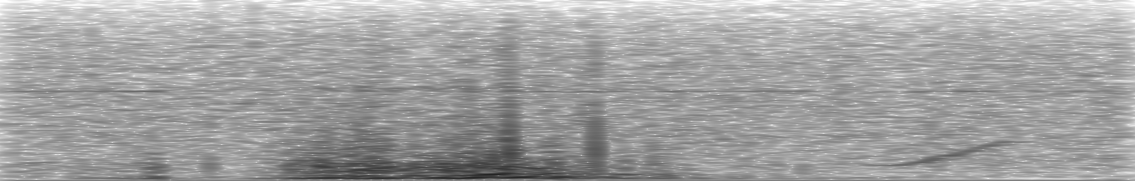 [Loading Spectrogram]