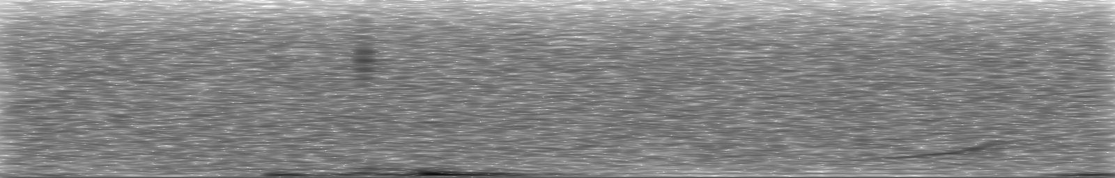 [Loading Spectrogram]