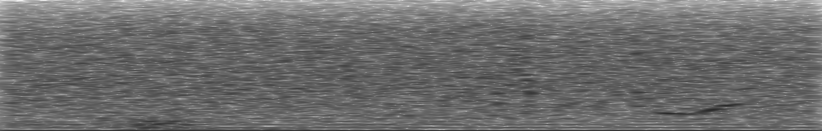 [Loading Spectrogram]