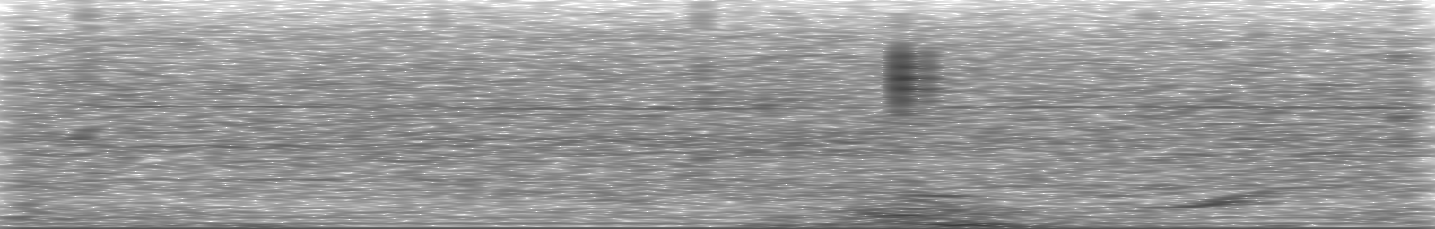 [Loading Spectrogram]