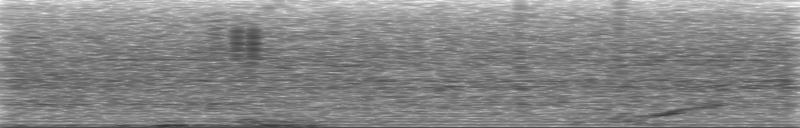 [Loading Spectrogram]