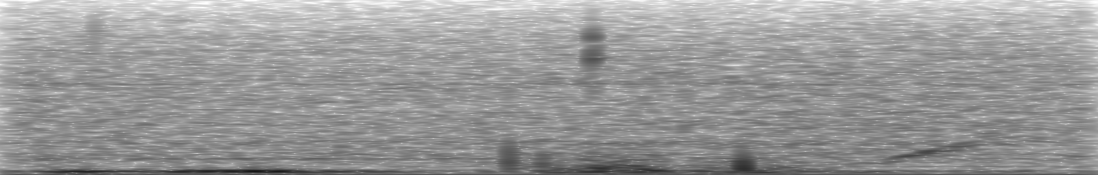 [Loading Spectrogram]