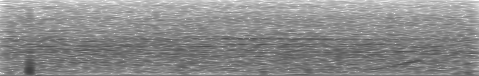 [Loading Spectrogram]