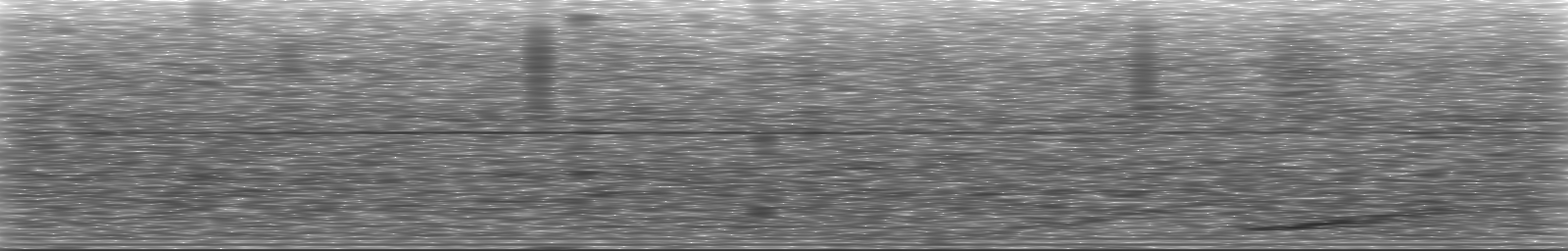 [Loading Spectrogram]