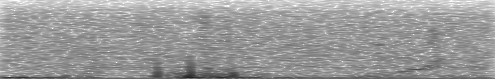 [Loading Spectrogram]