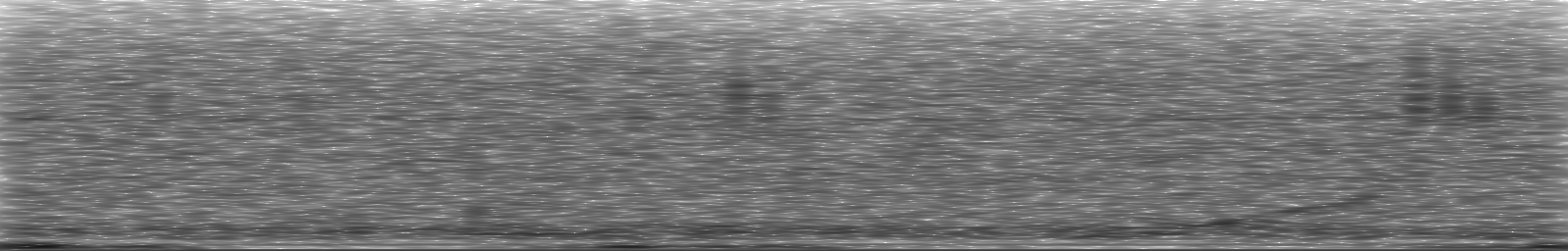 [Loading Spectrogram]