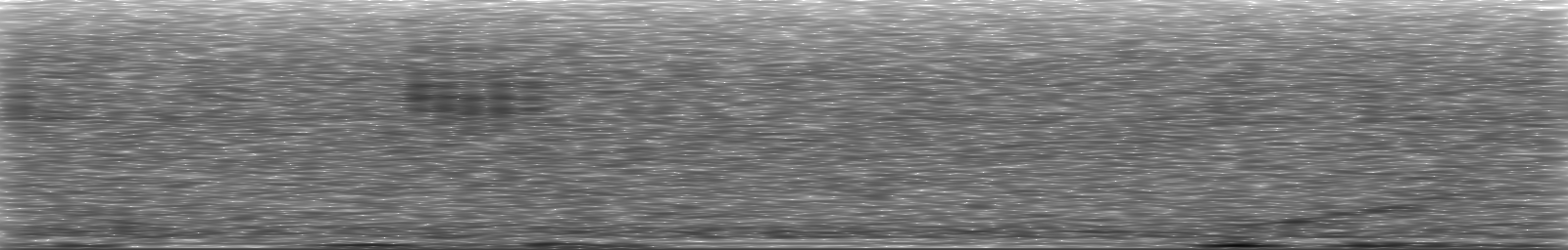 [Loading Spectrogram]