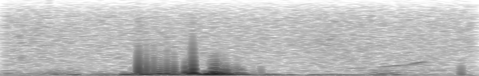 [Loading Spectrogram]