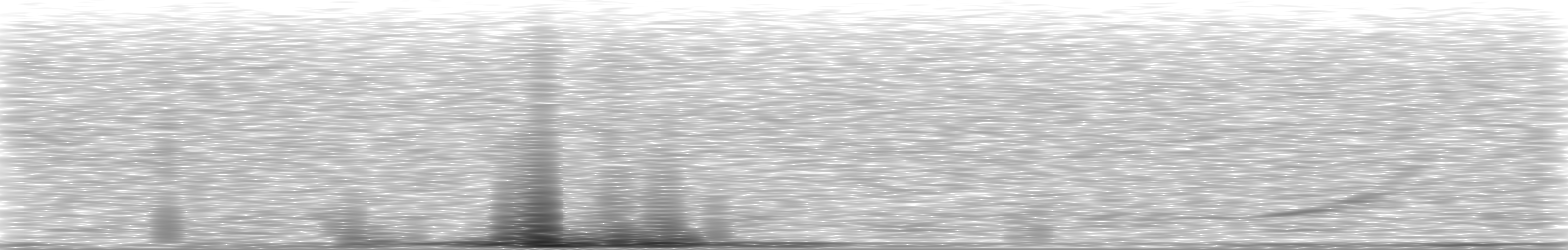 [Loading Spectrogram]