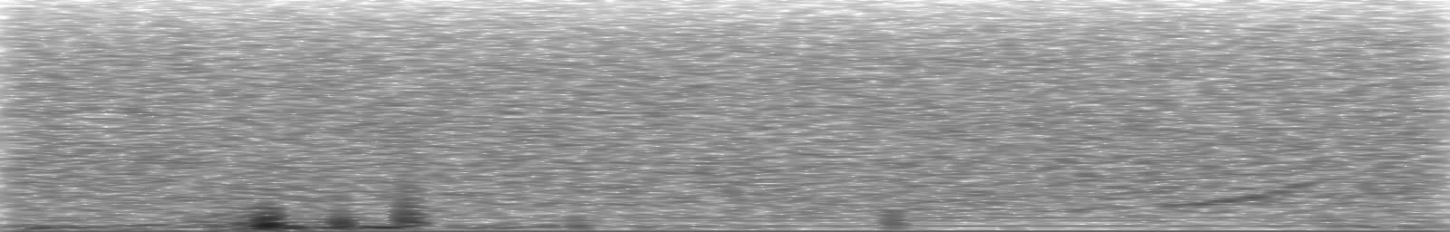 [Loading Spectrogram]