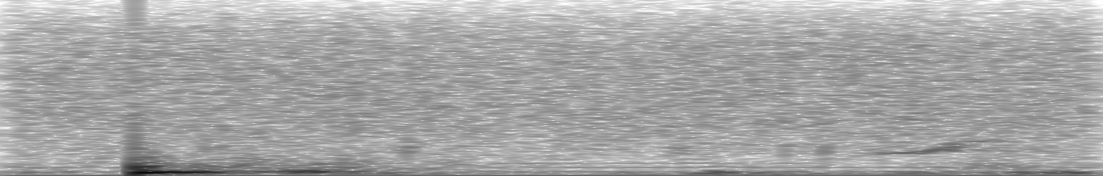 [Loading Spectrogram]