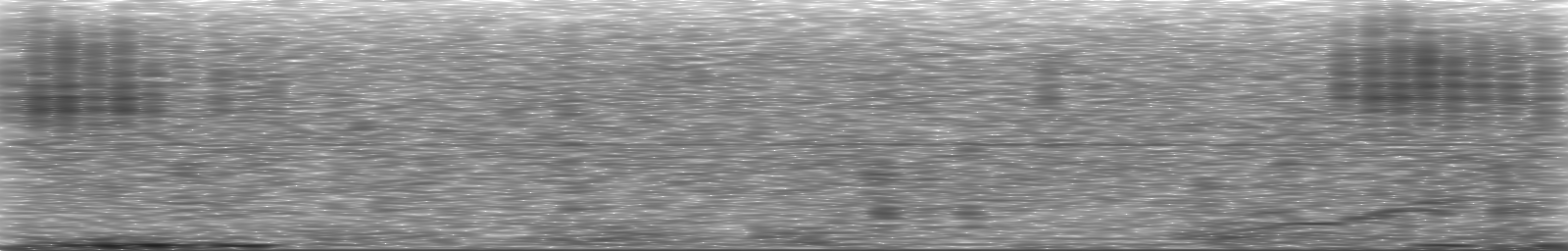 [Loading Spectrogram]