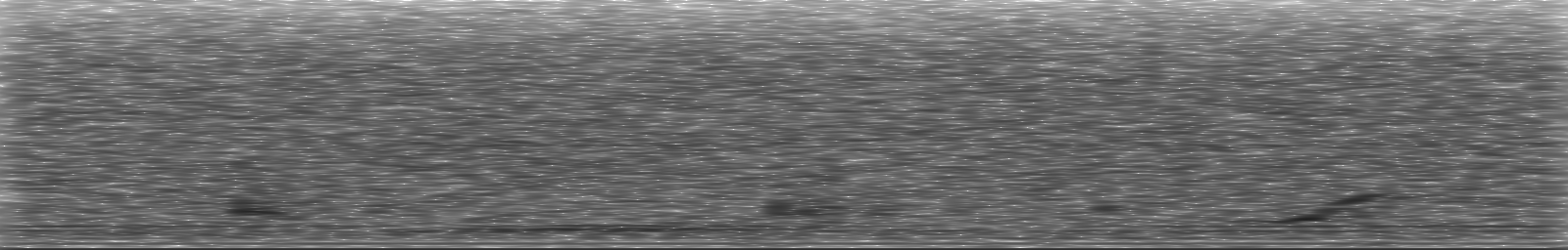 [Loading Spectrogram]