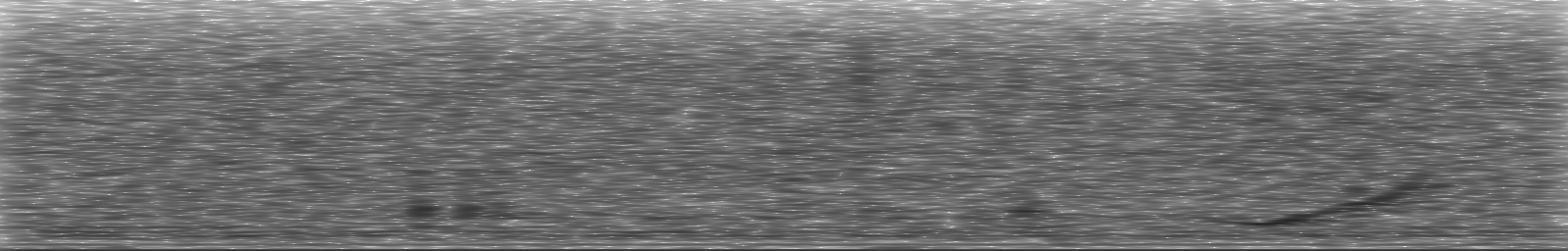 [Loading Spectrogram]