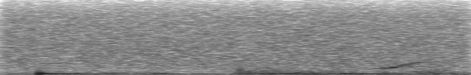 [Loading Spectrogram]