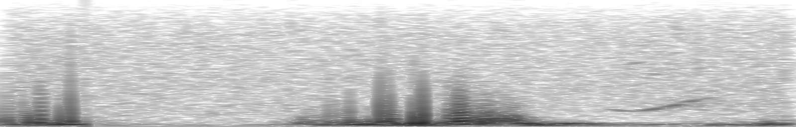 [Loading Spectrogram]