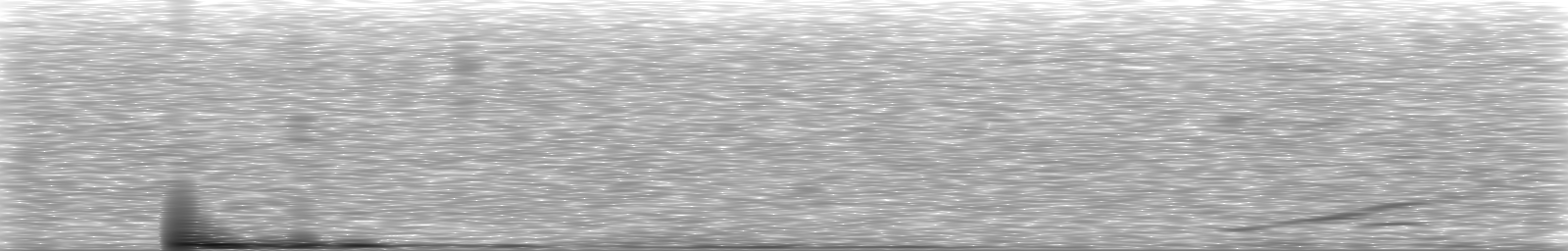 [Loading Spectrogram]