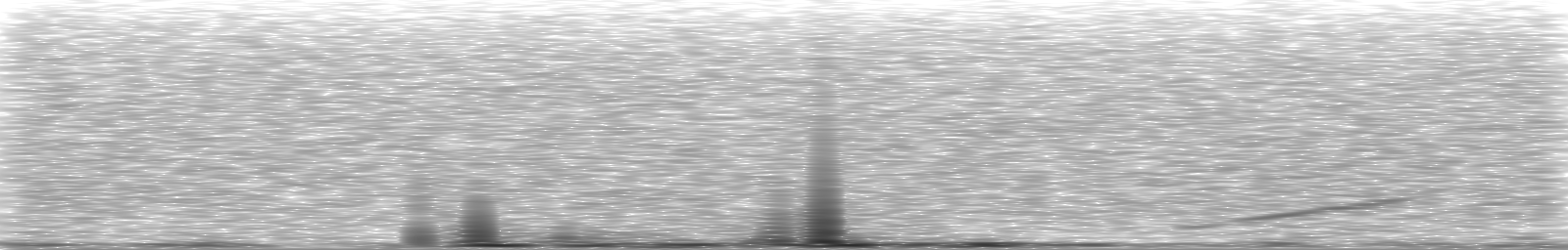 [Loading Spectrogram]