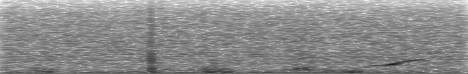 [Loading Spectrogram]