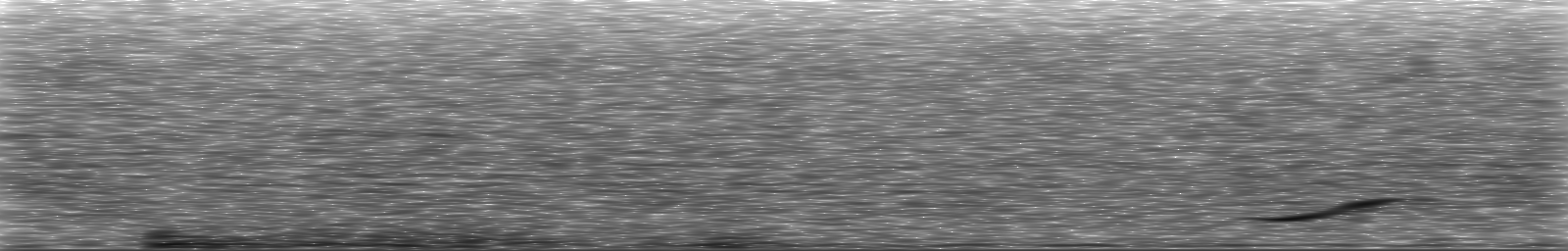 [Loading Spectrogram]