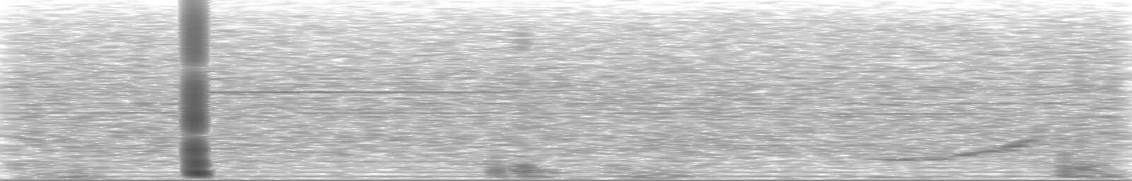 [Loading Spectrogram]