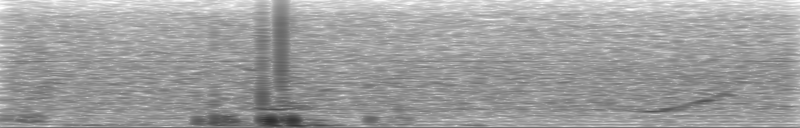 [Loading Spectrogram]