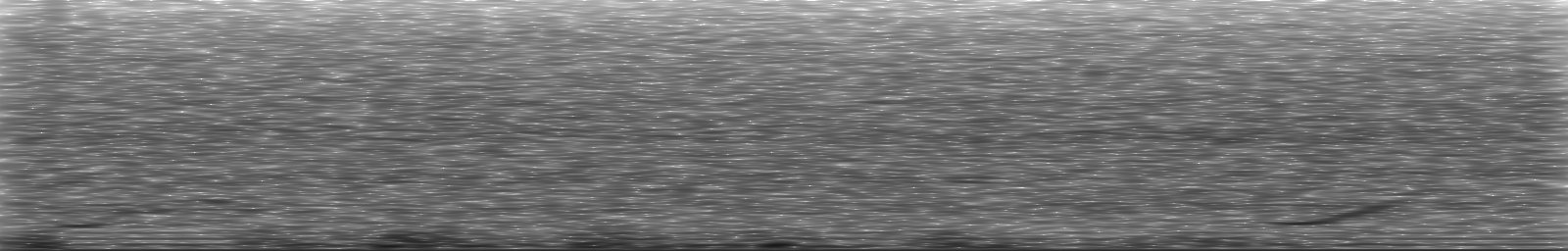 [Loading Spectrogram]